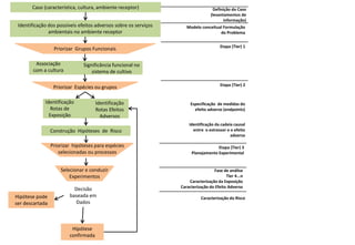 Caso (característica, cultura, ambiente receptor)                           Definição do Caso
                                                                                  (levantamentos de
                                                                                         informação)
 Identificação dos possíveis efeitos adversos sobre os serviços      Modelo conceitual Formulação
               ambientais no ambiente receptor                                       do Problema


                                                                                       Etapa (Tier) 1
                  Priorizar Grupos Funcionais

         Associação            Significância funcional no
        com a cultura              sistema de cultivo

                                                                                       Etapa (Tier) 2
                  Priorizar Espécies ou grupos

             Identificação            Identificação                    Especificação de medidas do
                Rotas de              Rotas Efeitos                      efeito adverso (endpoints)
               Exposição                Adversos
                                                                      Identificação da cadeia causal
                 Construção Hipóteses de Risco                          entre o estressor e o efeito
                                                                                            adverso

                 Priorizar hipóteses para espécies                                  Etapa (Tier) 3
                     selecionadas ou processos                         Planejamento Experimental


                     Selecionar e conduzir                                         Fase de análise
                         Experimentos                                                     Tier 4...n
                                                                      Caracterização da Exposição
                                                                  Caracterização do Efeito Adverso
                           Decisão
Hipótese pode            baseada em                                          Caracterização do Risco
ser descartada              Dados



                          Hipótese
                         confirmada
 