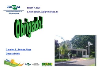 Edison R. Sujii
                  e.mail: edison.sujii@embrapa .br




Carmen S. Soares Pires
Debora Pires
 