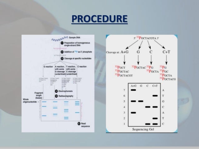 nucleotide sequence analysis nucleotide sequence analysis