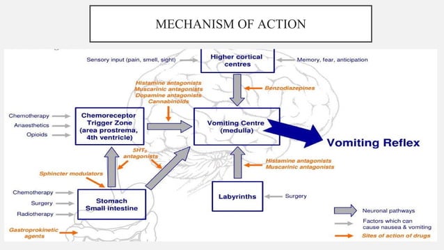Emetics and Anti-emetics (Pharmacology III) | PPT | Illegal Drugs ...