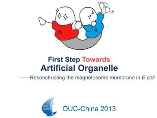 OUC-China 2013
First Step Towards
——Reconstructing the magnetosome membrane in E.coli
Artificial Organelle
 