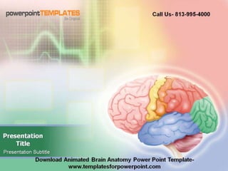 Editable animated brain anatomy powerpoint template
