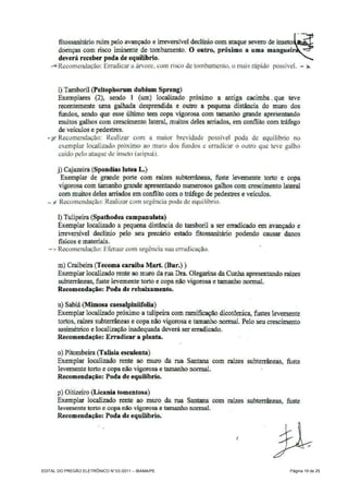 EDITAL DO PREGÃO ELETRÔNICO N° 03 /2011 – IBAMA/PE   Página 19 de 25
 