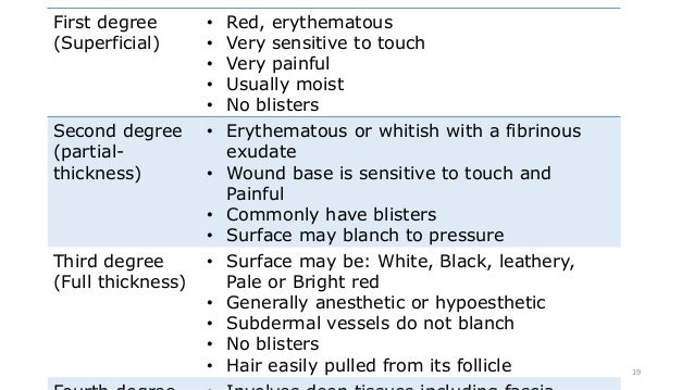 degree classification