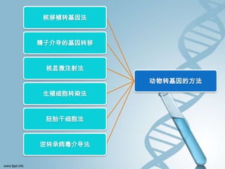 核移植转基因法



精子介导的基因转移



 核显微注射法

            动物转基因的方法
生殖细胞转染法



 胚胎干细胞法



逆转录病毒介导法
 