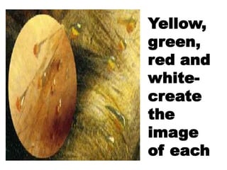 Yellow,
green,
red and
white-
create
the
image
of each
 