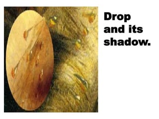 Drop
and its
shadow.
 