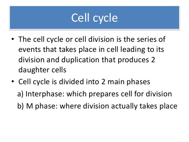 discuss in detail the cell cycle After mitosis and cytokinesis the daughter cells contain the same information for properties for heredity as the mothercell: mother cell and daughter cell are genetically identical the mitosis follows up the g2-phase of the interphase in the cell cycle. discuss in detail the cell cycle After mitosis and cytokinesis the daughter cells contain the same information for properties for heredity as the mothercell: mother cell and daughter cell are genetically identical the mitosis follows up the g2-phase of the interphase in the cell cycle.