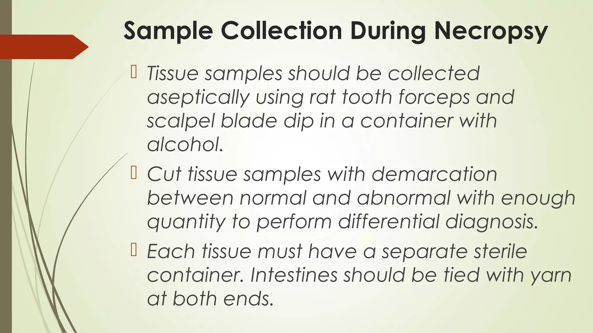 Sample Collection During Necropsy
 Tissue samples should be collected
aseptically using rat tooth forceps and
scalpel blade dip in a container with
alcohol.
 Cut tissue samples with demarcation
between normal and abnormal with enough
quantity to perform differential diagnosis.
 Each tissue must have a separate sterile
container. Intestines should be tied with yarn
at both ends.
 