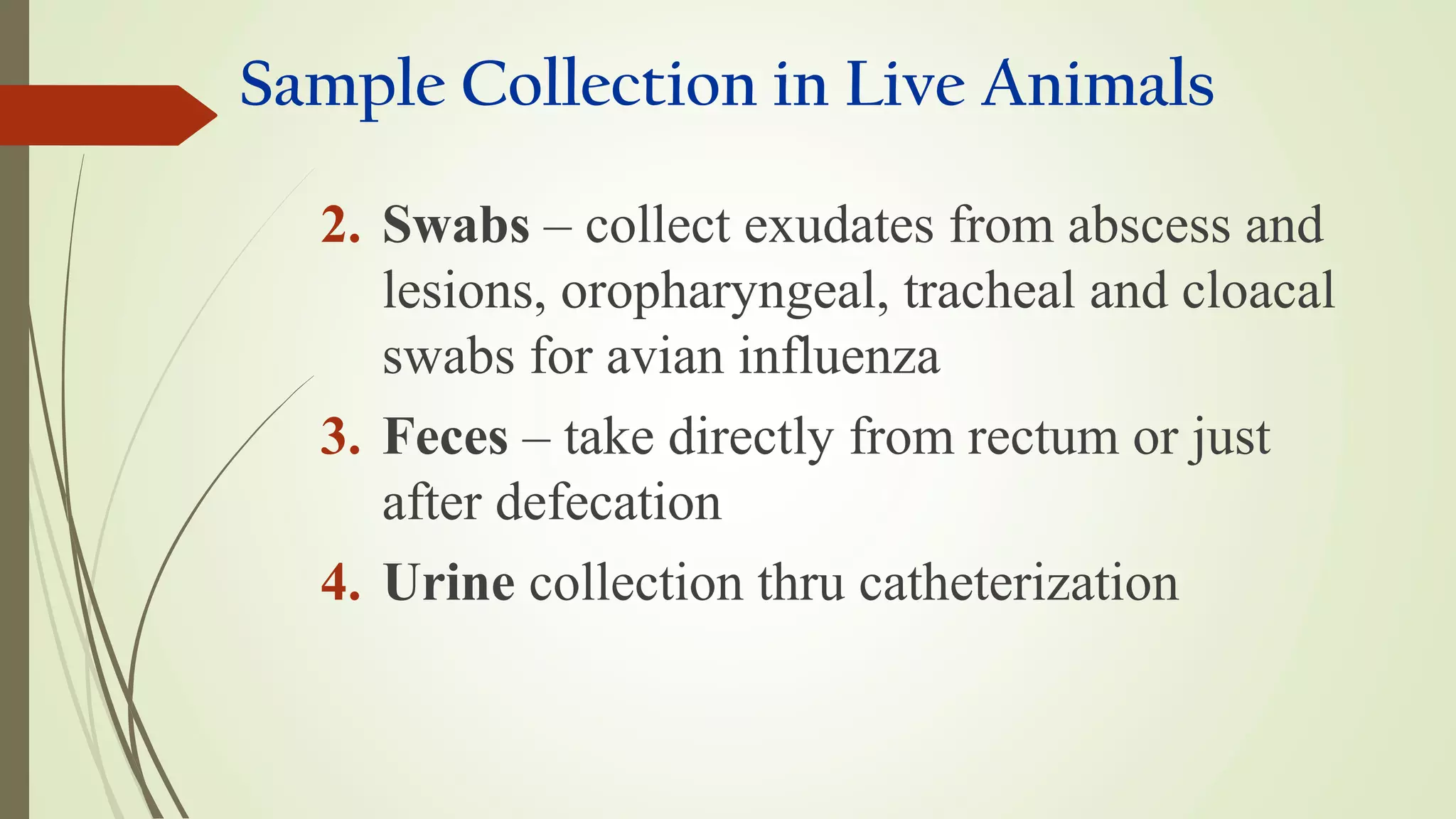 Sample Collection in Live Animals
2. Swabs – collect exudates from abscess and
lesions, oropharyngeal, tracheal and cloacal
swabs for avian influenza
3. Feces – take directly from rectum or just
after defecation
4. Urine collection thru catheterization
 
