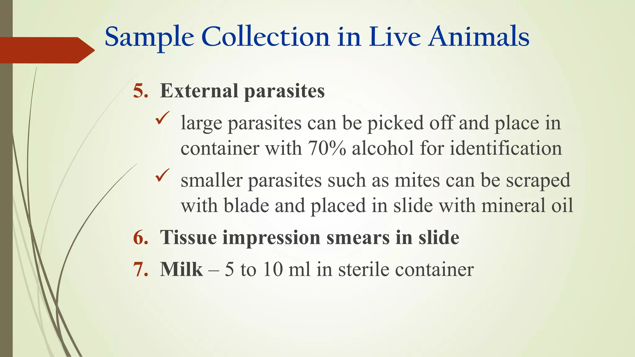 Sample Collection in Live Animals
5. External parasites
 large parasites can be picked off and place in
container with 70% alcohol for identification
 smaller parasites such as mites can be scraped
with blade and placed in slide with mineral oil
6. Tissue impression smears in slide
7. Milk – 5 to 10 ml in sterile container
 