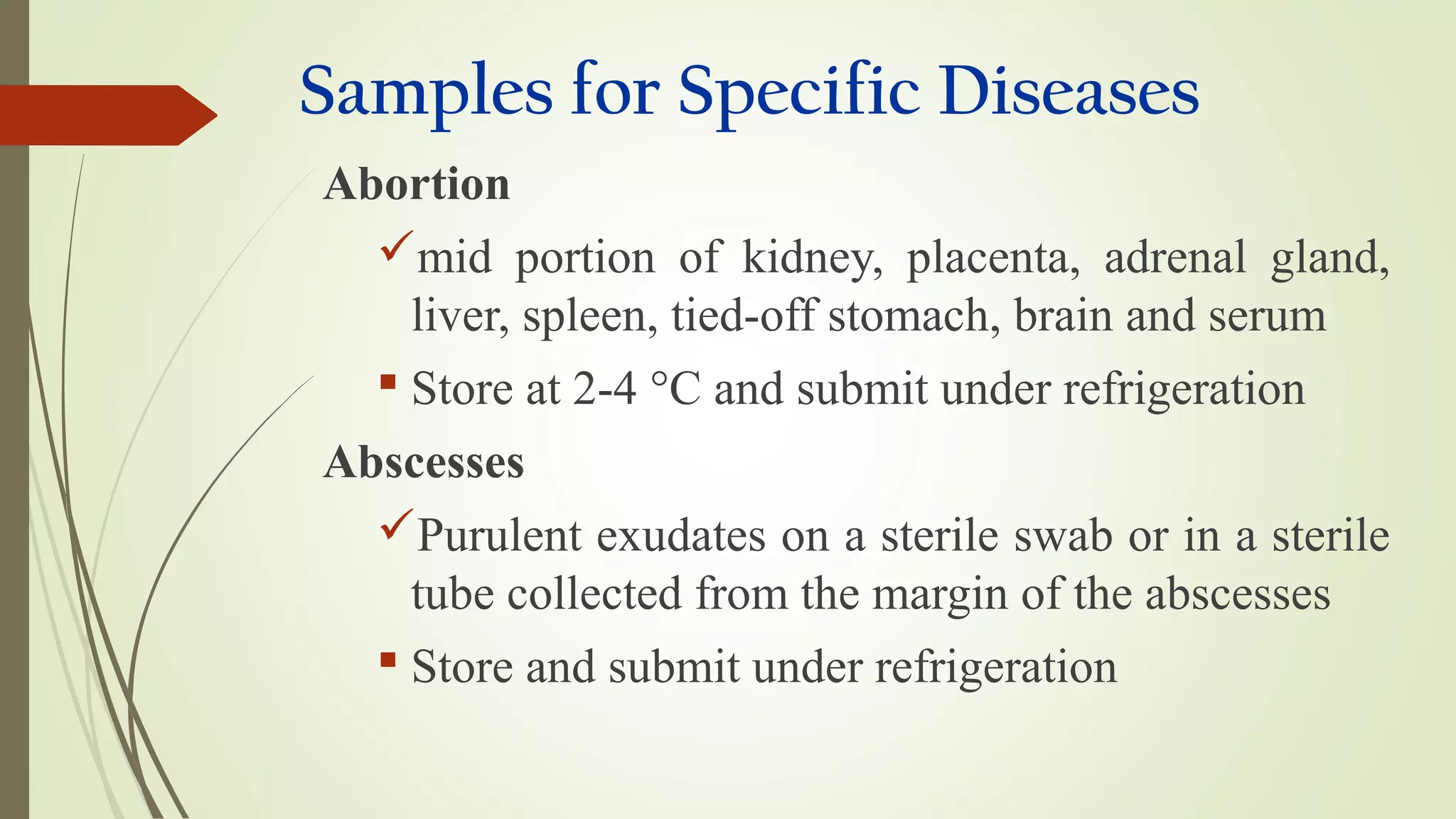 Samples for Specific Diseases
Abortion
mid portion of kidney, placenta, adrenal gland,
liver, spleen, tied-off stomach, brain and serum
 Store at 2-4 °C and submit under refrigeration
Abscesses
Purulent exudates on a sterile swab or in a sterile
tube collected from the margin of the abscesses
 Store and submit under refrigeration
 