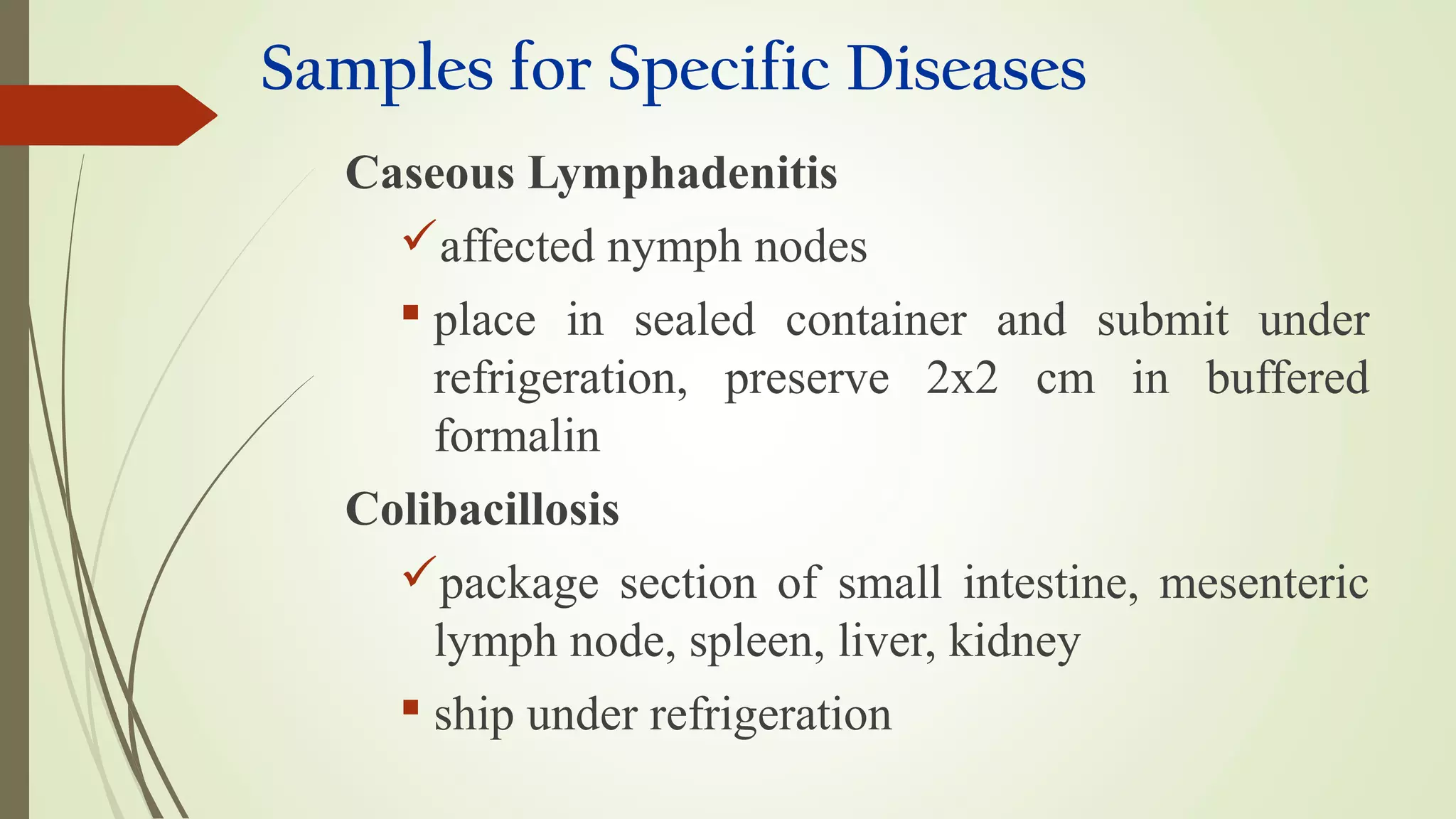 Samples for Specific Diseases
Caseous Lymphadenitis
affected nymph nodes
 place in sealed container and submit under
refrigeration, preserve 2x2 cm in buffered
formalin
Colibacillosis
package section of small intestine, mesenteric
lymph node, spleen, liver, kidney
 ship under refrigeration
 