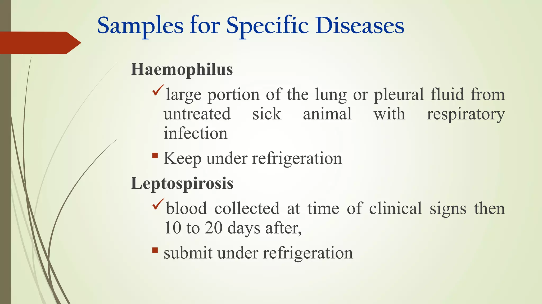 Samples for Specific Diseases
Haemophilus
large portion of the lung or pleural fluid from
untreated sick animal with respiratory
infection
 Keep under refrigeration
Leptospirosis
blood collected at time of clinical signs then
10 to 20 days after,
 submit under refrigeration
 