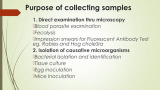 Collection and Handling of Specimens for Laboratory Diagnosis | PPT