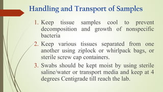Collection and Handling of Specimens for Laboratory Diagnosis | PPT