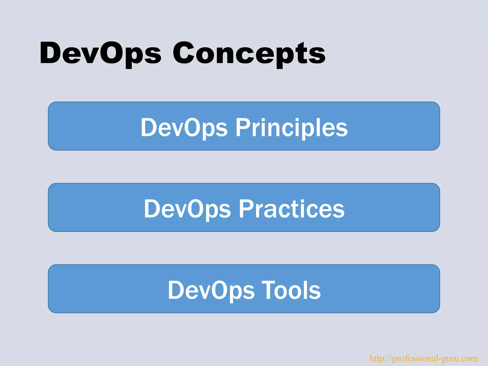 DevOps Concepts
DevOps Principles
DevOps Practices
DevOps Tools
http://professional-guru.com
 