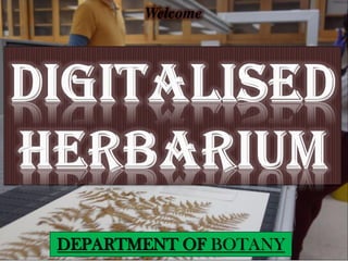 Welcome
DEPARTMENT OF BOTANY
 