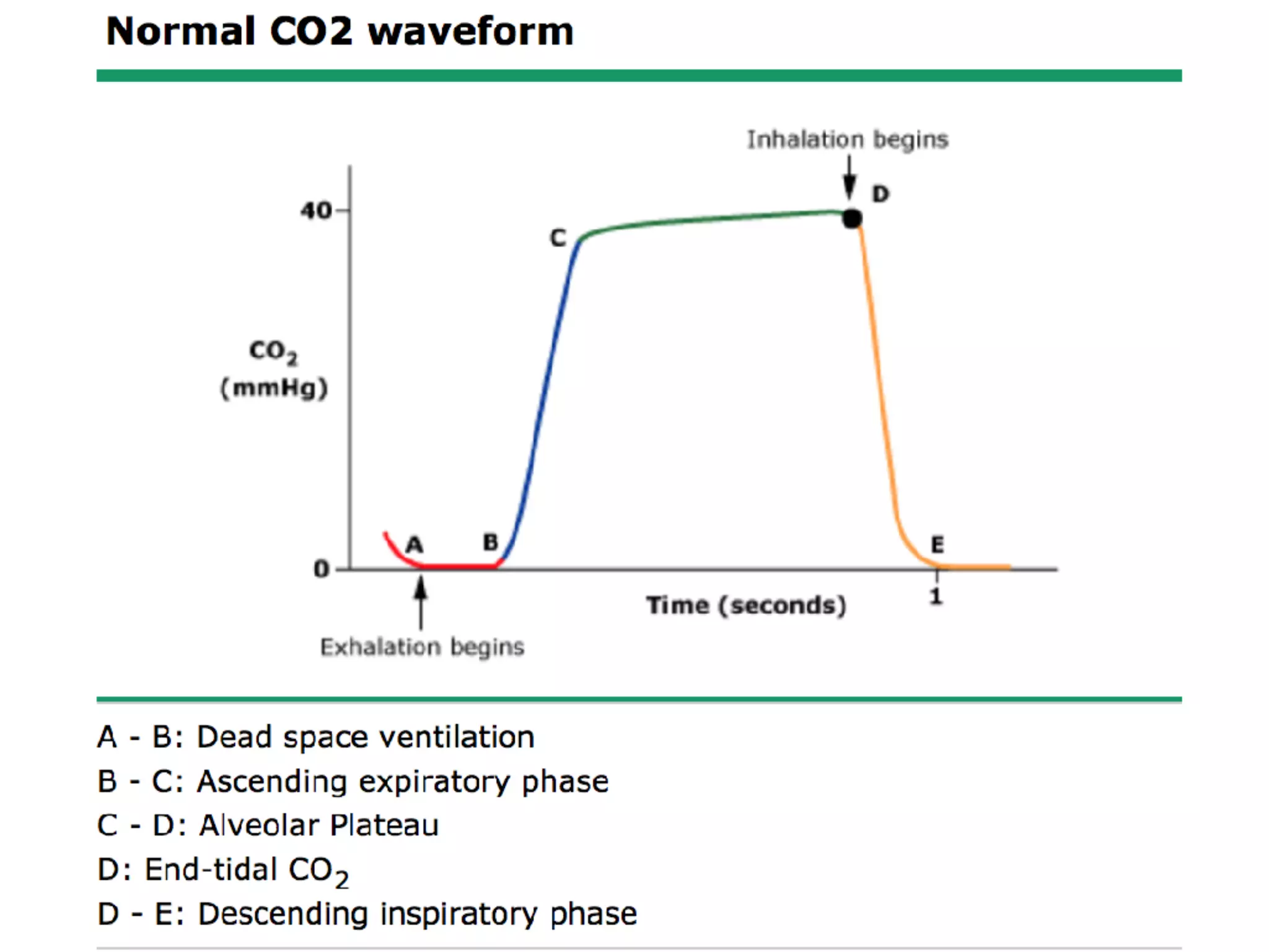 Capnography in emergency room | PDF