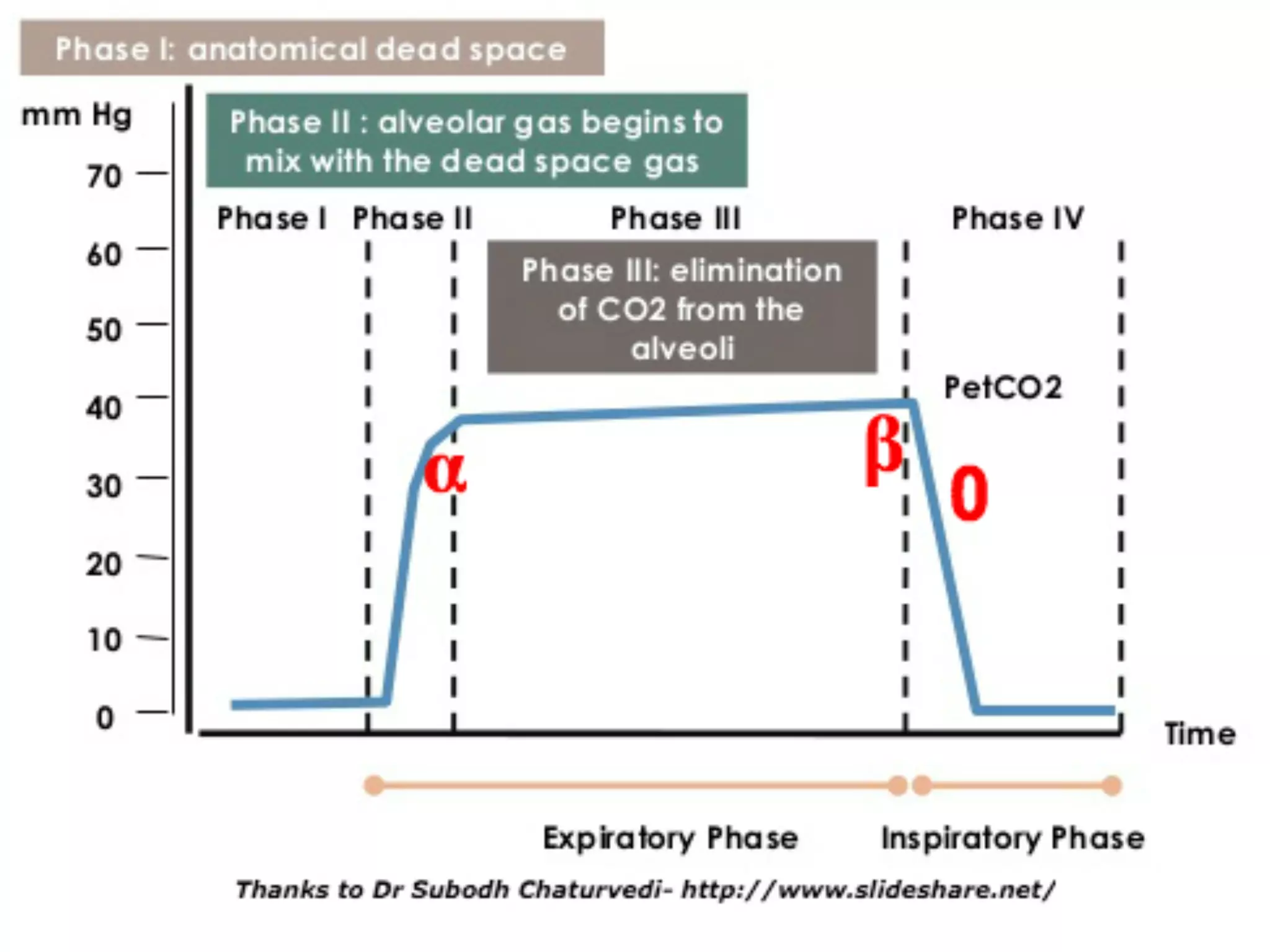Capnography in emergency room | PDF