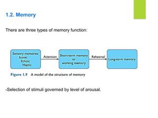 EDITED HCI CHAPTER TWO CHARACTERSTIC OF HCI.ppt