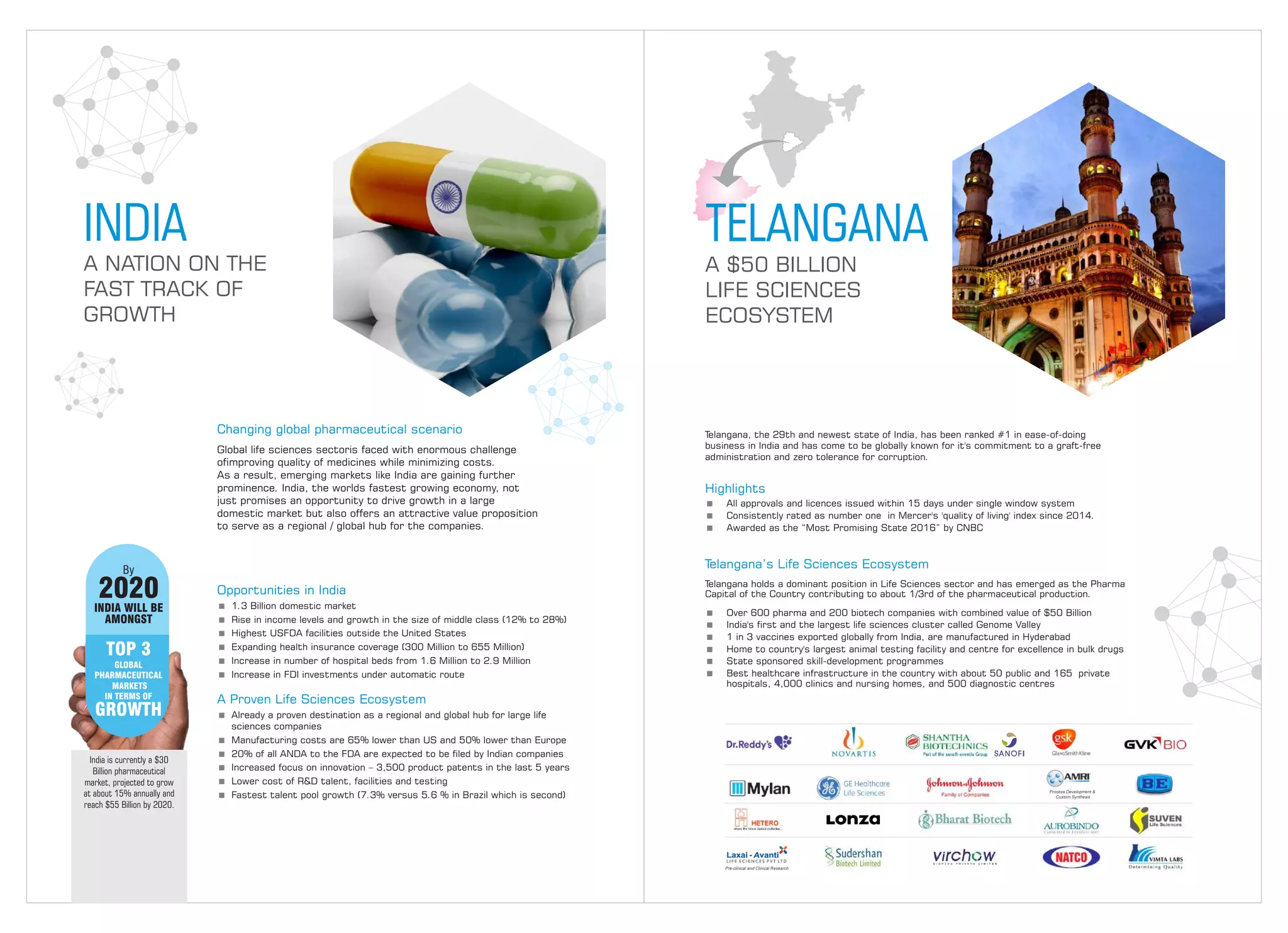 Hyderabad Pharma City | PDF