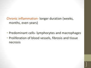 Chronic inflammation- longer duration (weeks,
months, even years)
• Predominant cells- lymphocytes and macrophages
• Proliferation of blood vessels, fibrosis and tissue
necrosis
14
 