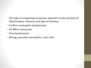 • The type of emigrating leucocytes depends on the duration of
inflammatory response and type of stimulus
• 6-24hrs-neutrophils predominate
• 24-48hrs-monocytes
• Viral-lymphocytes
• Allergy, parasites-eosinophils, main cells
30
 