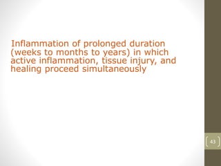 43
Inflammation of prolonged duration
(weeks to months to years) in which
active inflammation, tissue injury, and
healing proceed simultaneously
 