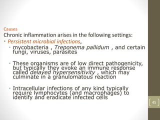 45
Causes
Chronic inflammation arises in the following settings:
• Persistent microbial infections,
• mycobacteria , Treponema pallidum , and certain
fungi, viruses, parasites
• These organisms are of low direct pathogenicity,
but typically they evoke an immune response
called delayed hypersensitivity , which may
culminate in a granulomatous reaction
• Intracellular infections of any kind typically
require lymphocytes (and macrophages) to
identify and eradicate infected cells
 
