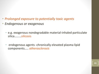 46
• Prolonged exposure to potentially toxic agents
• Endogenous or exogenous
• e.g. exogenous nondegradable material-inhaled particulate
silica………silicosis
• endogenous agents -chronically elevated plasma lipid
components….. atherosclerosis
 