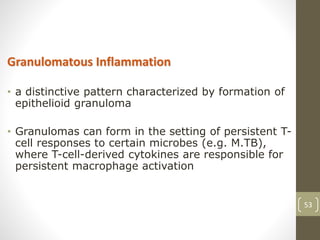 53
Granulomatous Inflammation
• a distinctive pattern characterized by formation of
epithelioid granuloma
• Granulomas can form in the setting of persistent T-
cell responses to certain microbes (e.g. M.TB),
where T-cell-derived cytokines are responsible for
persistent macrophage activation
 