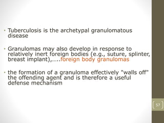 57
• Tuberculosis is the archetypal granulomatous
disease
• Granulomas may also develop in response to
relatively inert foreign bodies (e.g., suture, splinter,
breast implant),…..foreign body granulomas
• the formation of a granuloma effectively "walls off"
the offending agent and is therefore a useful
defense mechanism
 
