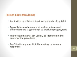 Foreign body granulomas
• Are incited by relatively inert foreign bodies (e.g. talc),
• Typically form when material such as sutures and
other fibers are large enough to preclude phagocytosis
• The foreign material can usually be identified in the
center of the granuloma
• Don’t incite any specific inflammatory or immune
responses
59
 