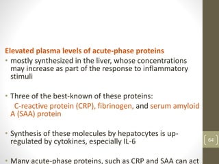 64
Elevated plasma levels of acute-phase proteins
• mostly synthesized in the liver, whose concentrations
may increase as part of the response to inflammatory
stimuli
• Three of the best-known of these proteins:
C-reactive protein (CRP), fibrinogen, and serum amyloid
A (SAA) protein
• Synthesis of these molecules by hepatocytes is up-
regulated by cytokines, especially IL-6
• Many acute-phase proteins, such as CRP and SAA can act
 