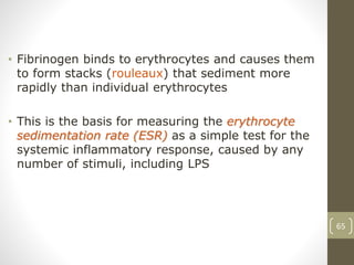 65
• Fibrinogen binds to erythrocytes and causes them
to form stacks (rouleaux) that sediment more
rapidly than individual erythrocytes
• This is the basis for measuring the erythrocyte
sedimentation rate (ESR) as a simple test for the
systemic inflammatory response, caused by any
number of stimuli, including LPS
 