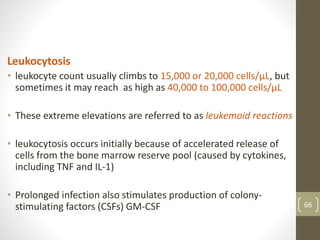 66
Leukocytosis
• leukocyte count usually climbs to 15,000 or 20,000 cells/μL, but
sometimes it may reach as high as 40,000 to 100,000 cells/μL
• These extreme elevations are referred to as leukemoid reactions
• leukocytosis occurs initially because of accelerated release of
cells from the bone marrow reserve pool (caused by cytokines,
including TNF and IL-1)
• Prolonged infection also stimulates production of colony-
stimulating factors (CSFs) GM-CSF
 
