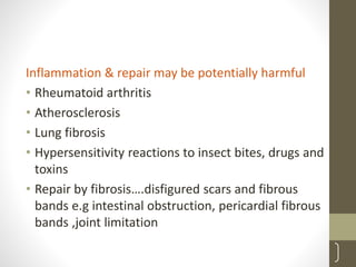 Inflammation & repair may be potentially harmful
• Rheumatoid arthritis
• Atherosclerosis
• Lung fibrosis
• Hypersensitivity reactions to insect bites, drugs and
toxins
• Repair by fibrosis….disfigured scars and fibrous
bands e.g intestinal obstruction, pericardial fibrous
bands ,joint limitation
7
 