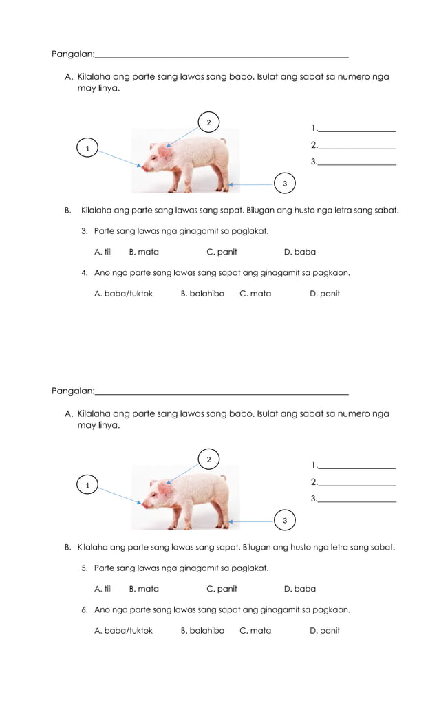 Grade 3 Detailed Lesson Plan Science 3 Docx