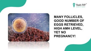 MANY FOLLICLES,
GOOD NUMBER OF
EGGS RETRIEVED,
HIGH AMH LEVEL,
YET NO
PREGNANCY!
 