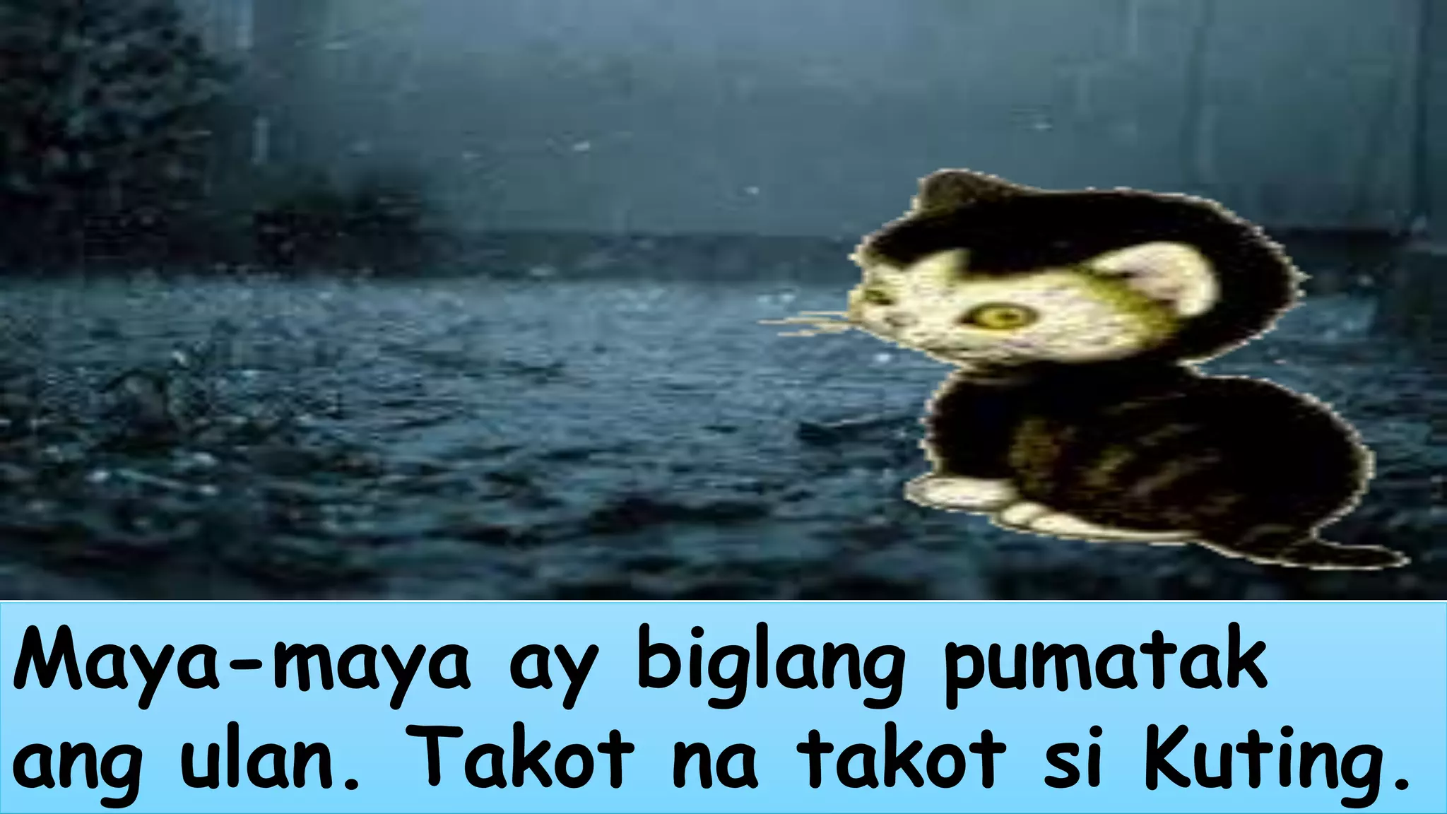 Maya-maya ay biglang pumatak 
ang ulan. Takot na takot si Kuting. 
 
