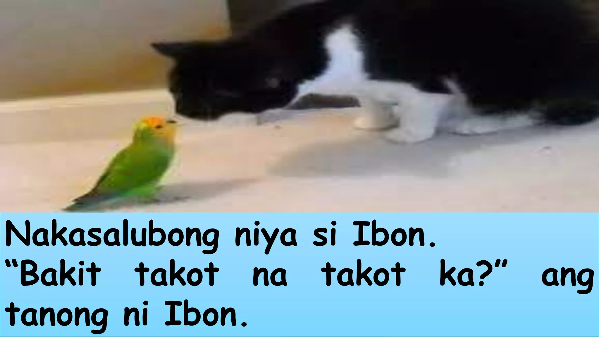 Nakasalubong niya si Ibon. 
“Bakit takot na takot ka?” ang 
tanong ni Ibon. 
 