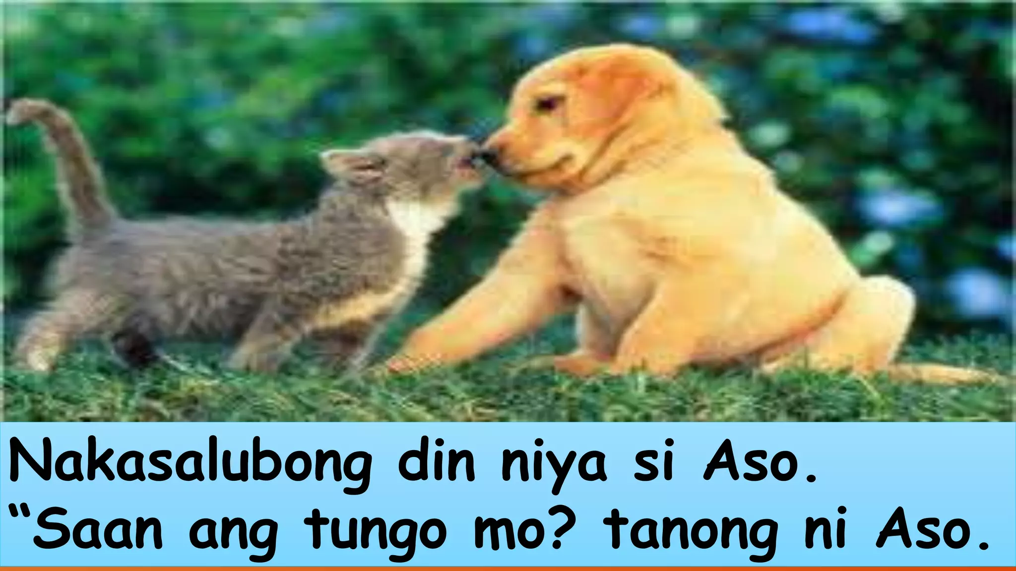 Nakasalubong din niya si Aso. 
“Saan ang tungo mo? tanong ni Aso. 
 