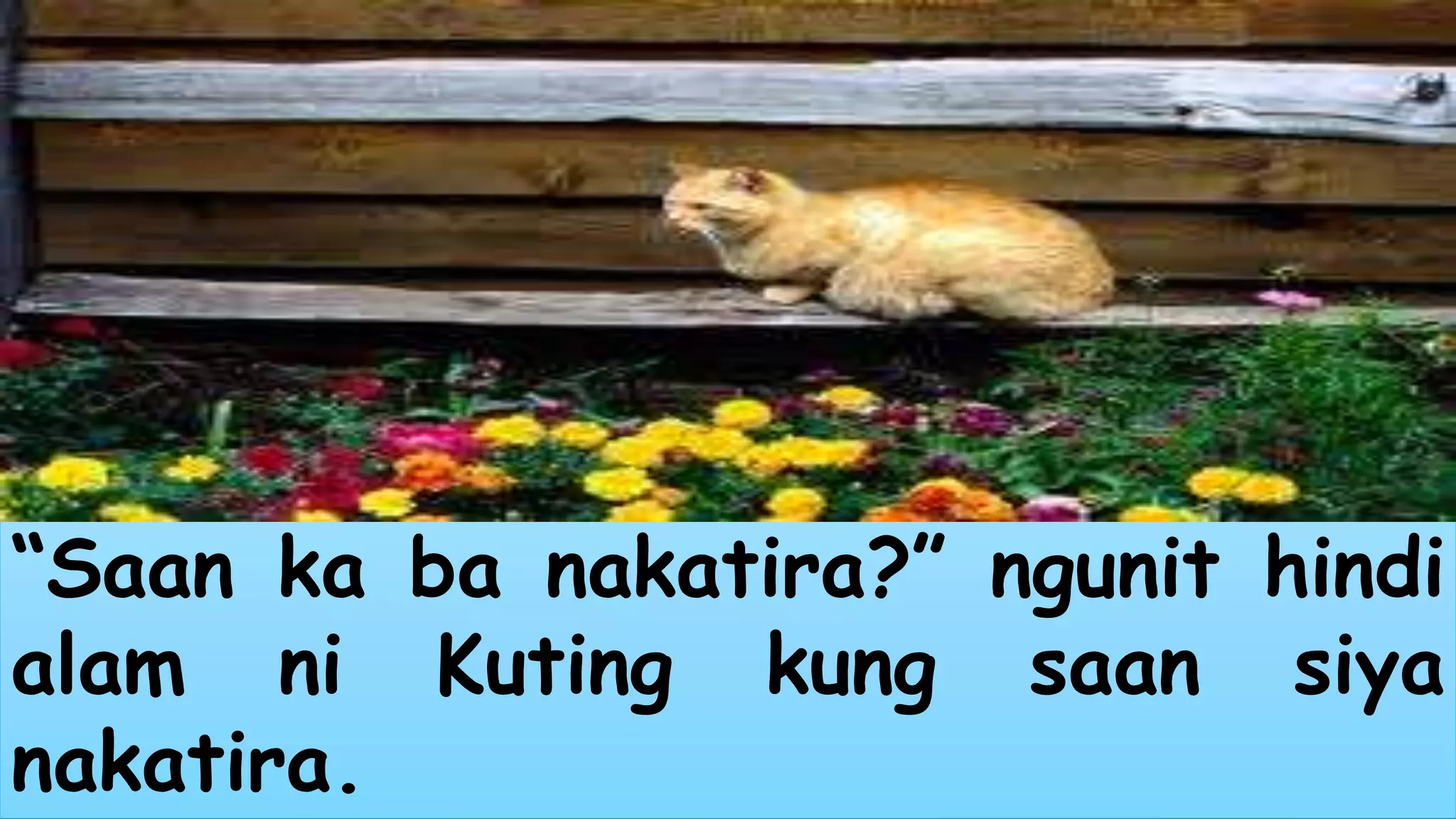 “Saan ka ba nakatira?” ngunit hindi 
alam ni Kuting kung saan siya 
nakatira. 
 