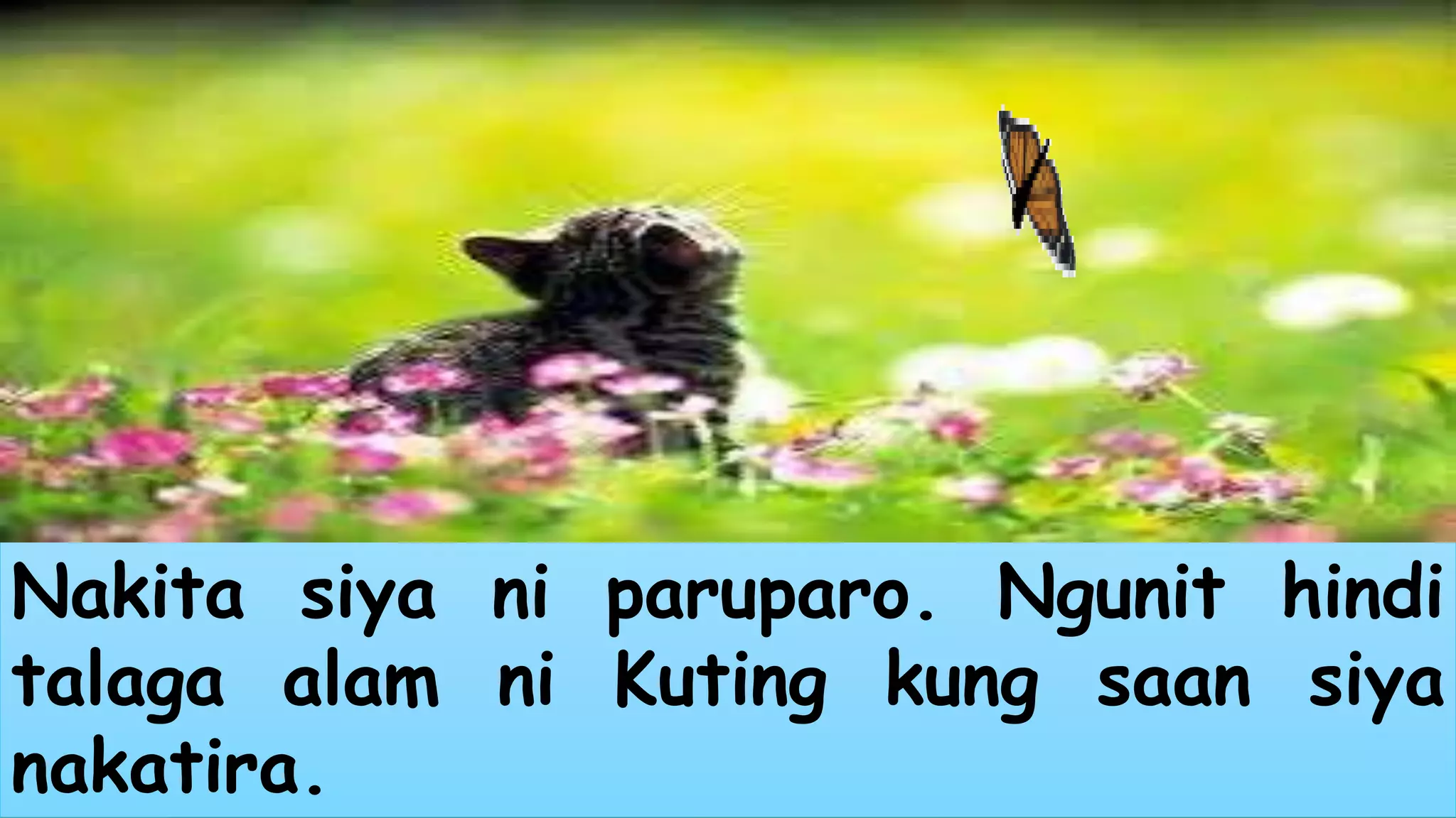 Nakita siya ni paruparo. Ngunit hindi 
talaga alam ni Kuting kung saan siya 
nakatira. 
 