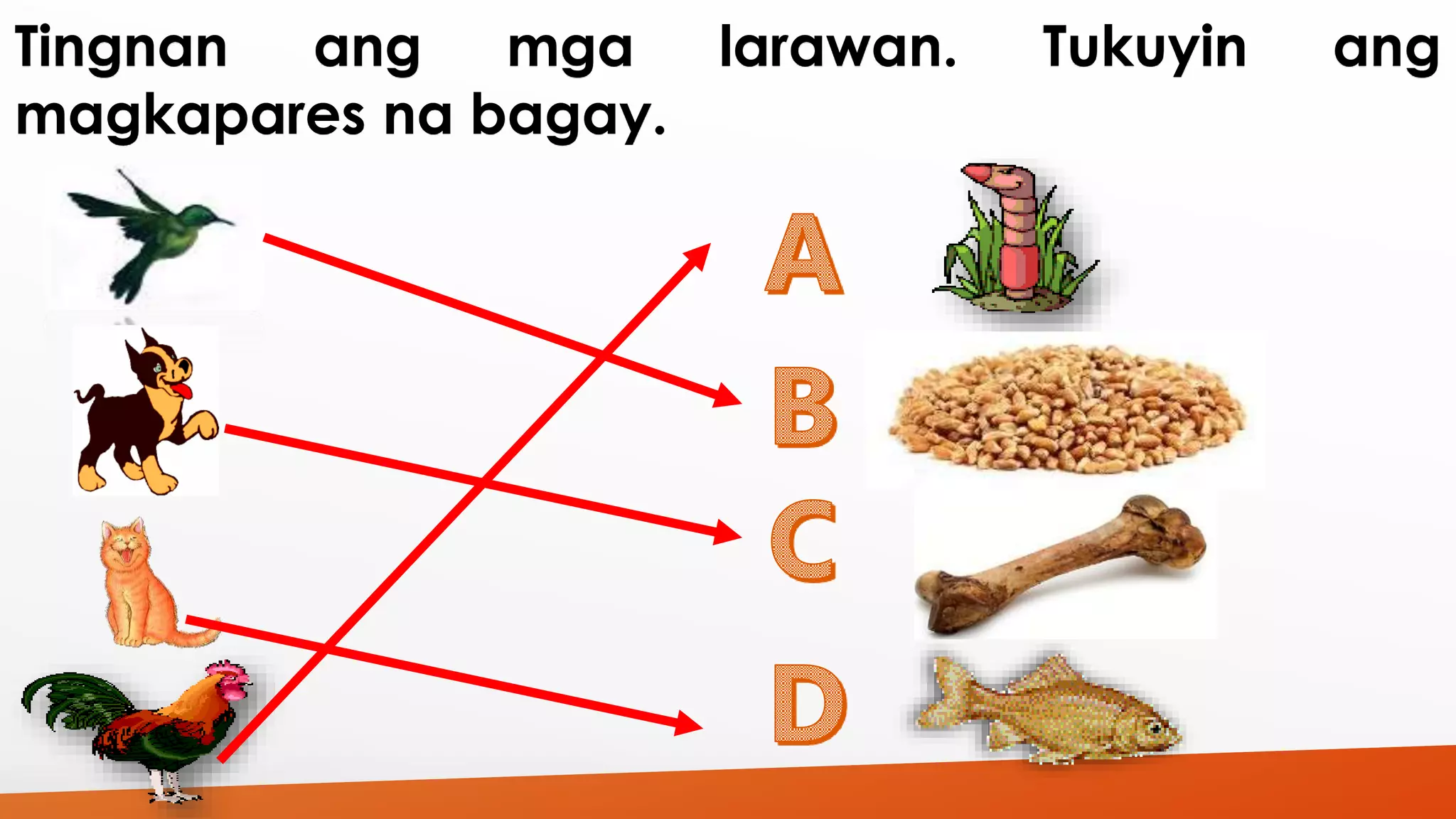 Tingnan ang mga larawan. Tukuyin ang 
magkapares na bagay. 
 