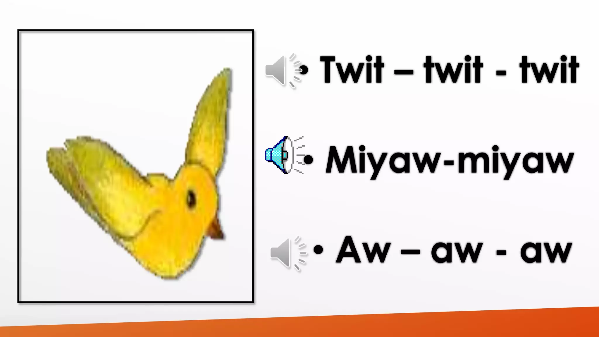 • Twit – twit - twit 
• Miyaw-miyaw 
• Aw – aw - aw 
 