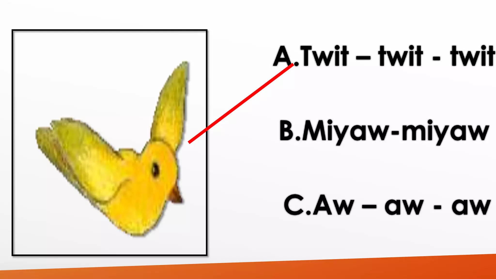 A.Twit – twit - twit 
B.Miyaw-miyaw 
C.Aw – aw - aw 
 