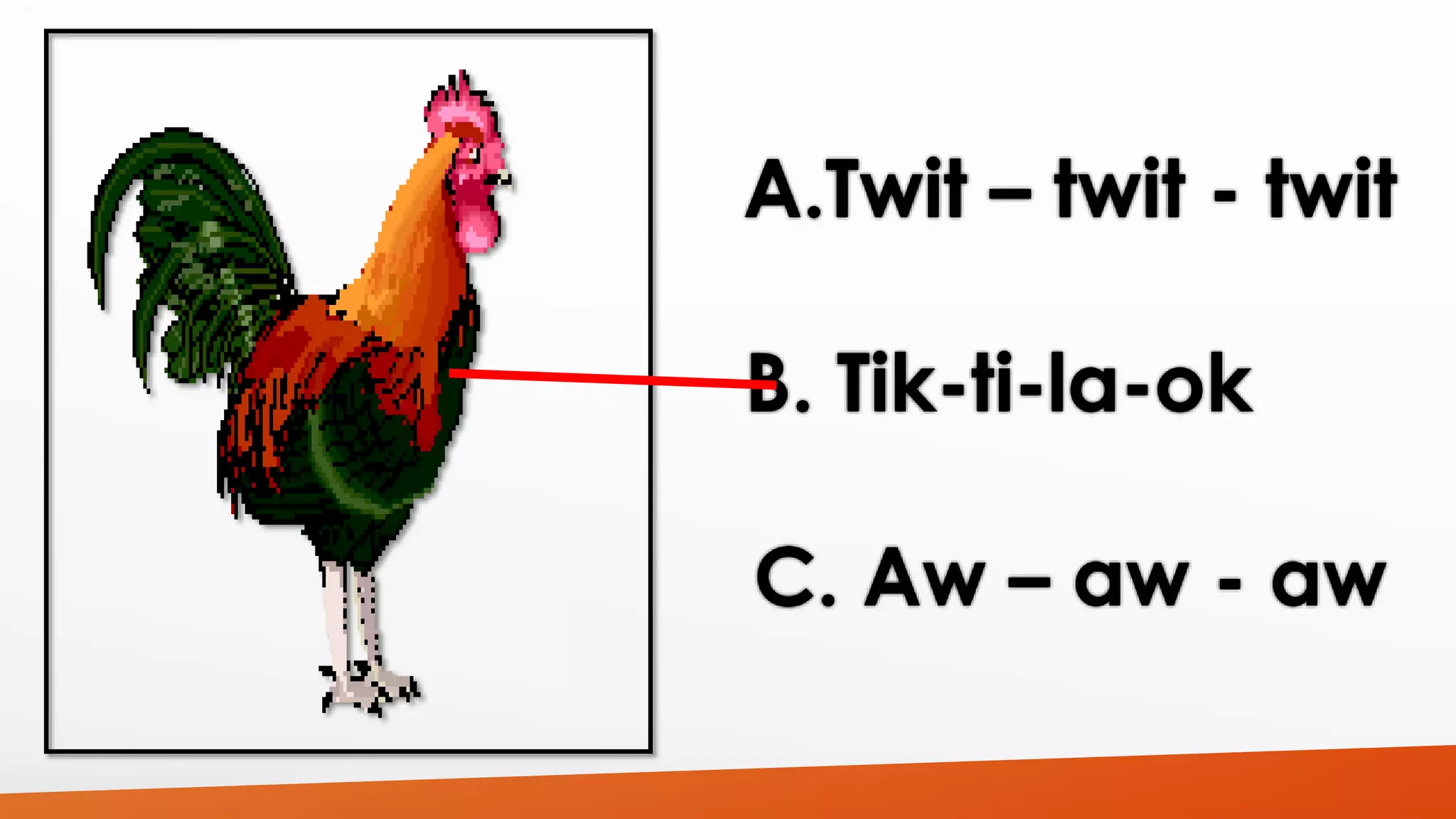 A.Twit – twit - twit 
B. Tik-ti-la-ok 
C. Aw – aw - aw 
 