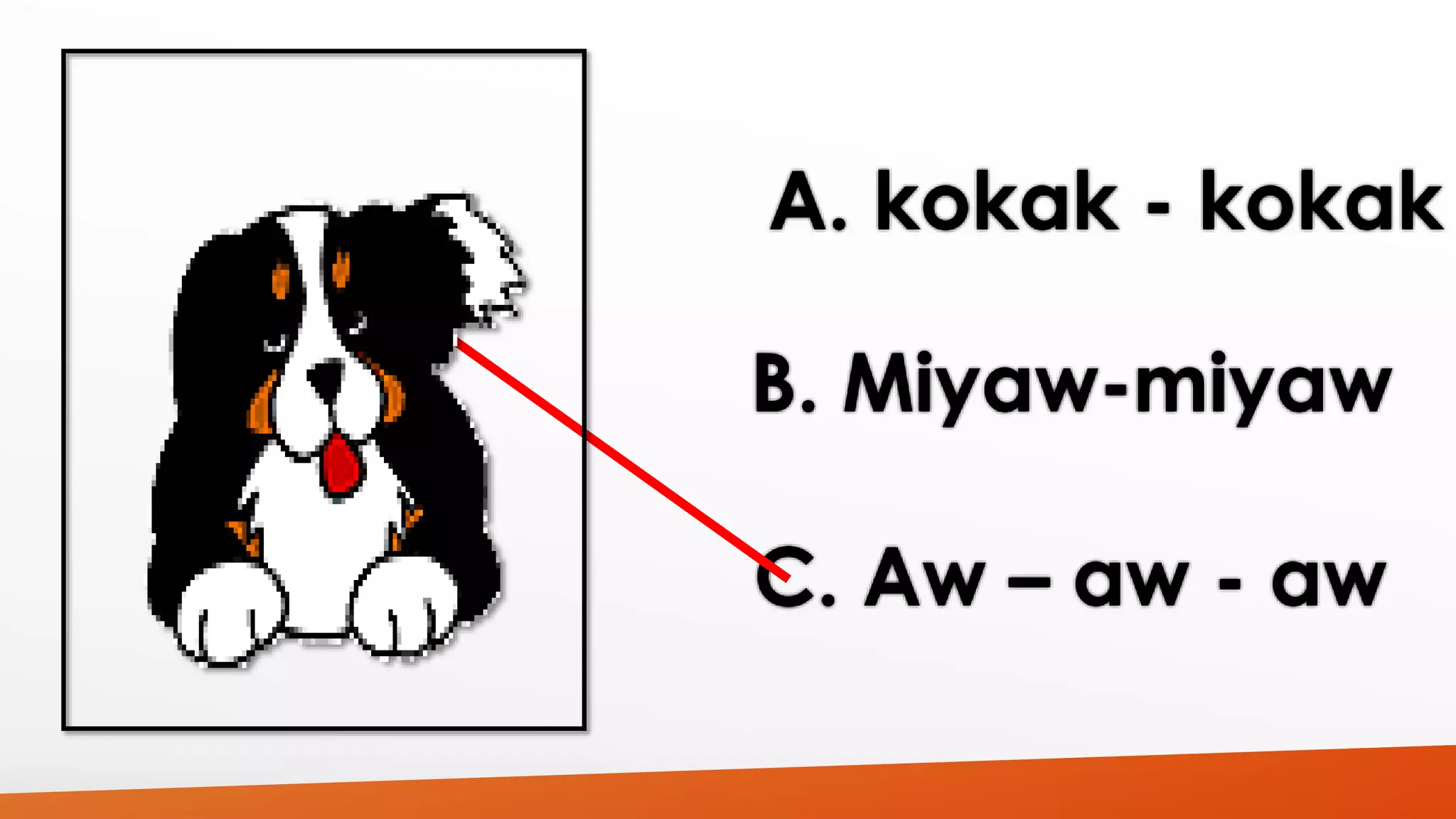 A. kokak - kokak 
B. Miyaw-miyaw 
C. Aw – aw - aw 
 